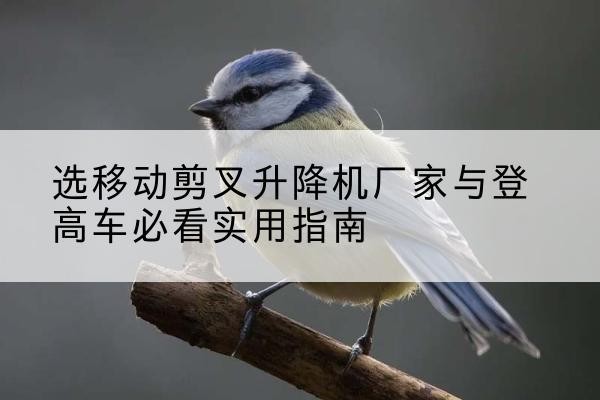 庆元电动升降机厂家-选移动剪叉升降机厂家与登高车必看实用指南