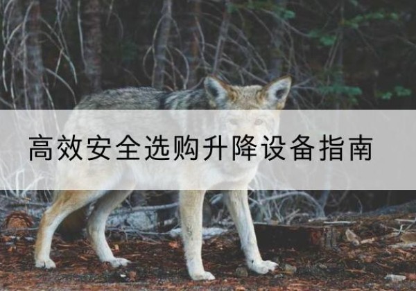 庆元升降货梯厂家推荐-*安全选购升降设备指南