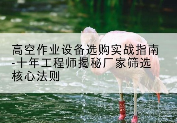 庆元剪叉式升降机厂家-高空作业设备选购实战指南-十年工程师揭秘厂家筛选核心法则
