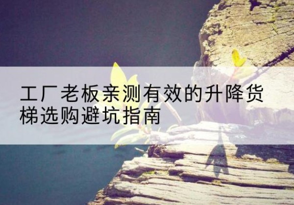 庆元升降货梯怎么选-工厂老板亲测有效的升降货梯选购避坑指南